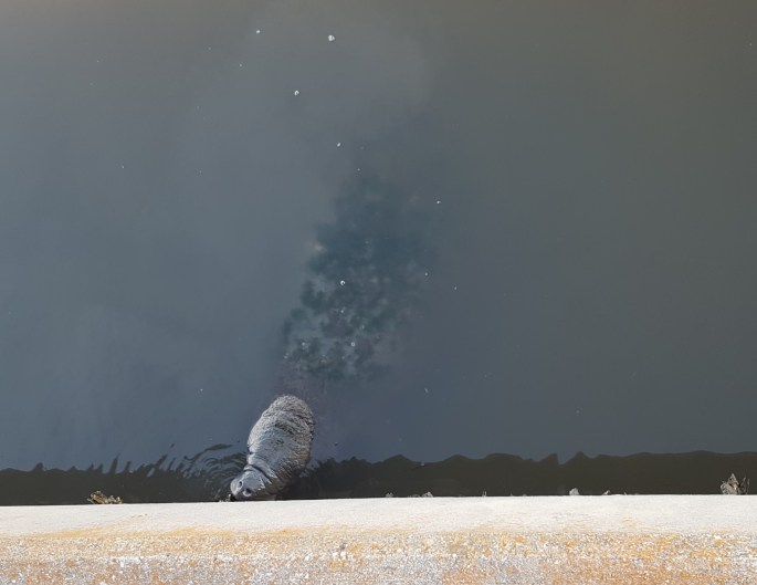 20180418_075949_001 (2)